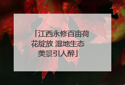 江西永修百亩荷花绽放 湿地生态美景引人醉
