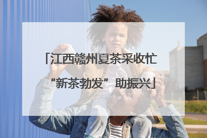 江西赣州夏茶采收忙 “新茶勃发”助振兴