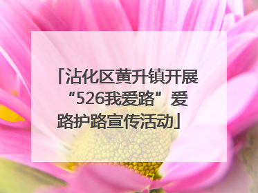 沾化区黄升镇开展“526我爱路”爱路护路宣传活动