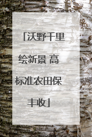 沃野千里绘新景 高标准农田保丰收