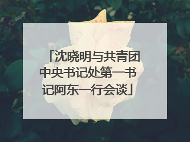 沈晓明与共青团中央书记处第一书记阿东一行会谈