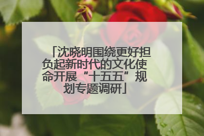 沈晓明围绕更好担负起新时代的文化使命开展“十五五”规划专题调研