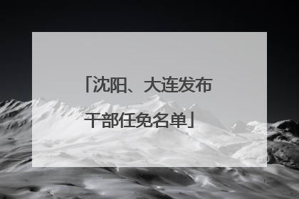 沈阳、大连发布干部任免名单