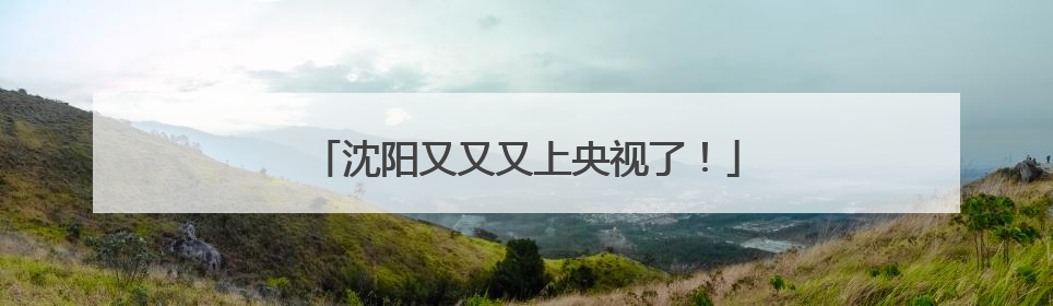 沈阳又又又上央视了！