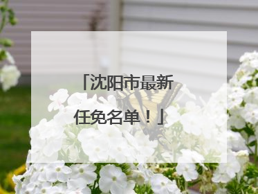 沈阳市最新任免名单！