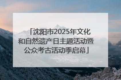 沈阳市2025年文化和自然遗产日主题活动暨公众考古活动季启幕