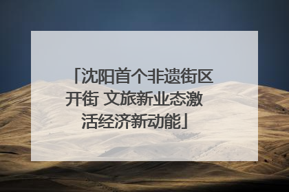 沈阳首个非遗街区开街 文旅新业态激活经济新动能