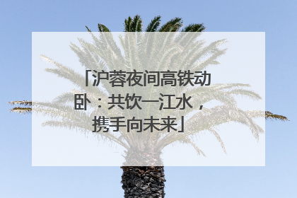 沪蓉夜间高铁动卧：共饮一江水，携手向未来