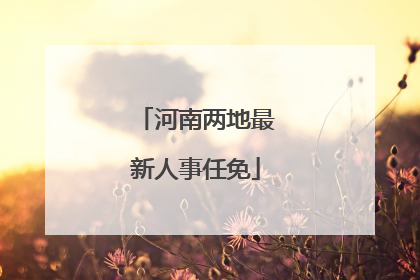 河南两地最新人事任免