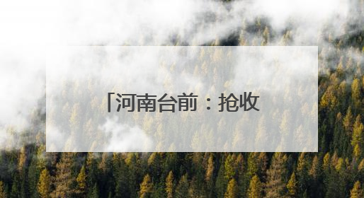 河南台前：抢收“突击队”为夏收“加速度”