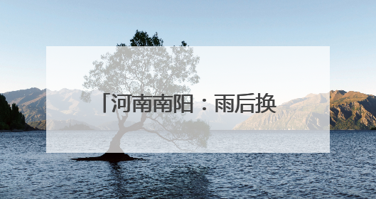 河南南阳：雨后换轨筑牢铁路安全线