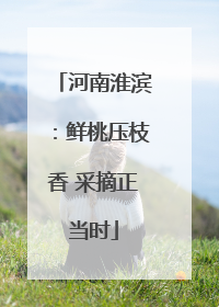 河南淮滨：鲜桃压枝香 采摘正当时