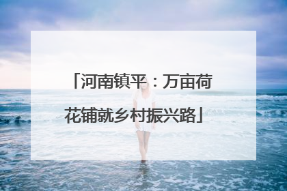 河南镇平：万亩荷花铺就乡村振兴路