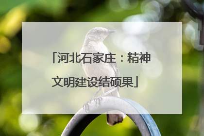 河北石家庄：精神文明建设结硕果