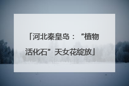 河北秦皇岛：“植物活化石”天女花绽放
