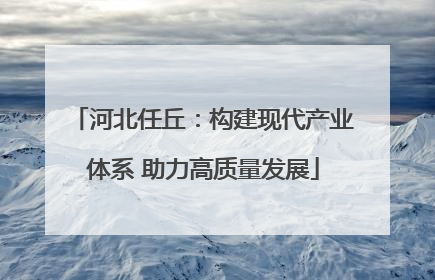河北任丘：构建现代产业体系 助力高质量发展