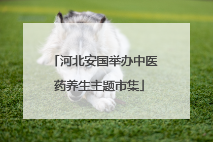 河北安国举办中医药养生主题市集