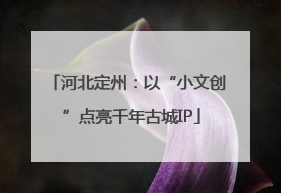 河北定州：以“小文创”点亮千年古城IP