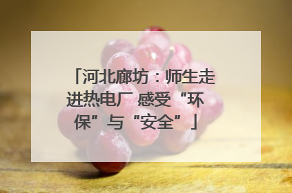 河北廊坊：师生走进热电厂 感受“环保”与“安全”