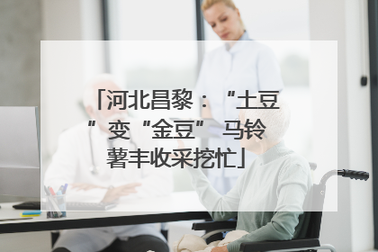 河北昌黎：“土豆”变“金豆” 马铃薯丰收采挖忙