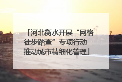 河北衡水开展“网格徒步踏查”专项行动 推动城市精细化管理