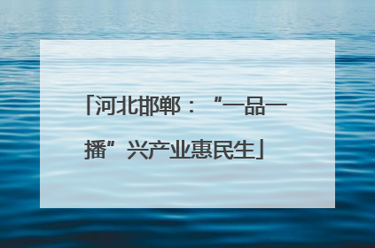 河北邯郸：“一品一播”兴产业惠民生