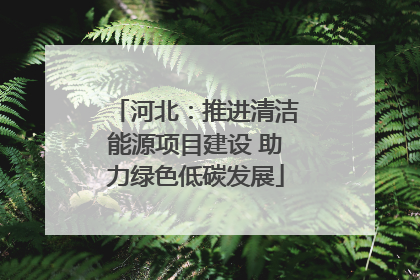 河北：推进清洁能源项目建设 助力绿色低碳发展