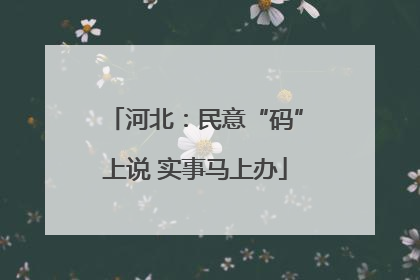 河北：民意“码”上说 实事马上办