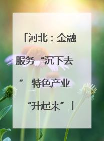 河北：金融服务“沉下去” 特色产业“升起来”