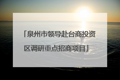 泉州市领导赴台商投资区调研重点招商项目