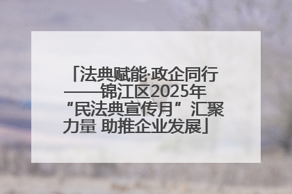 法典赋能·政企同行——锦江区2025年“民法典宣传月”汇聚力量 助推企业发展