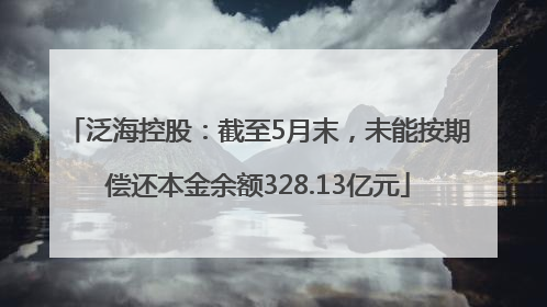 泛海控股：截至5月末，未能按期偿还本金余额328.13亿元