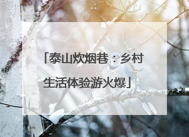 泰山炊烟巷：乡村生活体验游火爆