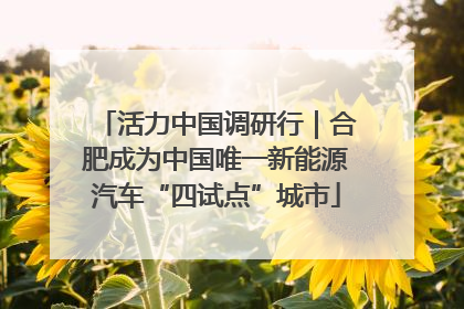 活力中国调研行｜合肥成为中国唯一新能源汽车“四试点”城市
