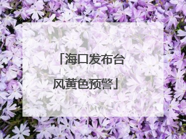 海口发布台风黄色预警