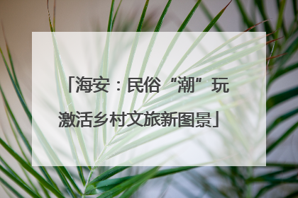 海安：民俗“潮”玩激活乡村文旅新图景