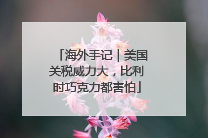 海外手记｜美国关税威力大，比利时巧克力都害怕