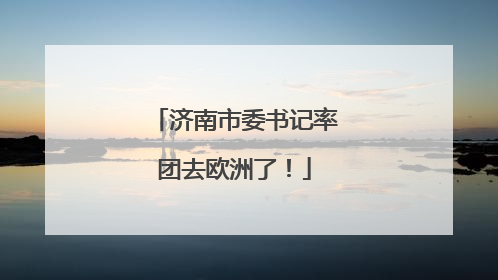 济南市委书记率团去欧洲了！