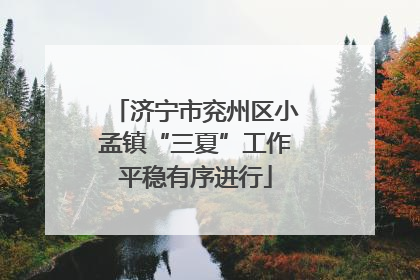 济宁市兖州区小孟镇“三夏”工作平稳有序进行