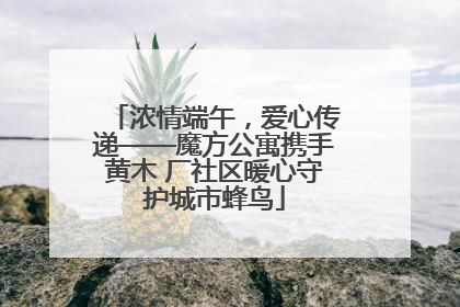 浓情端午，爱心传递——魔方公寓携手黄木 厂社区暖心守护城市蜂鸟