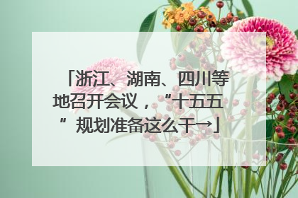 浙江、湖南、四川等地召开会议，“十五五”规划准备这么干→