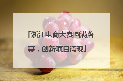 浙江电商大赛圆满落幕，创新项目涌现