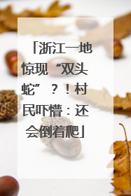 浙江一地惊现“双头蛇”？！村民吓懵：还会倒着爬