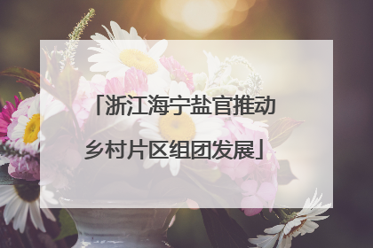浙江海宁盐官推动乡村片区组团发展