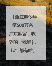 浙江迎今年第500万名广东旅客，收到的“锦鲤礼包”都有啥