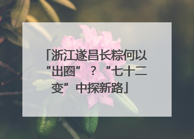 浙江遂昌长粽何以“出圈”？“七十二变”中探新路