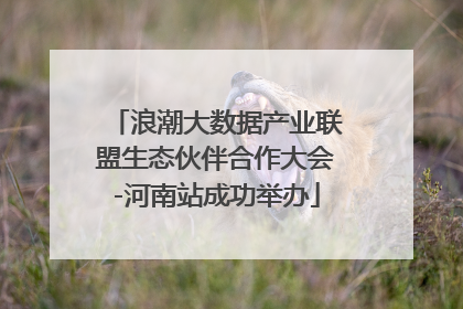 浪潮大数据产业联盟生态伙伴合作大会-河南站成功举办