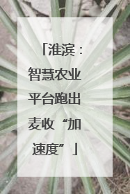 淮滨：智慧农业平台跑出麦收“加速度”