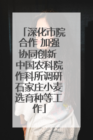 深化市院合作 加强协同创新 中国农科院作科所调研石家庄小麦选育种等工作