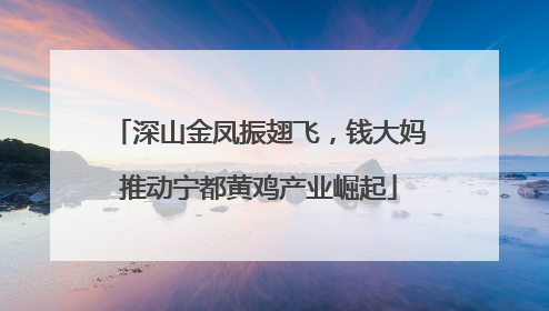 深山金凤振翅飞，钱大妈推动宁都黄鸡产业崛起
